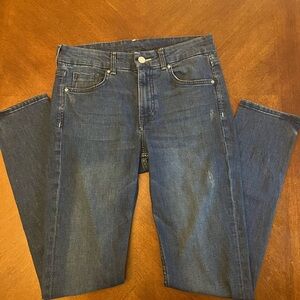 Blue Skinny Jeans, Regular Waist (fits a pant size 6)
